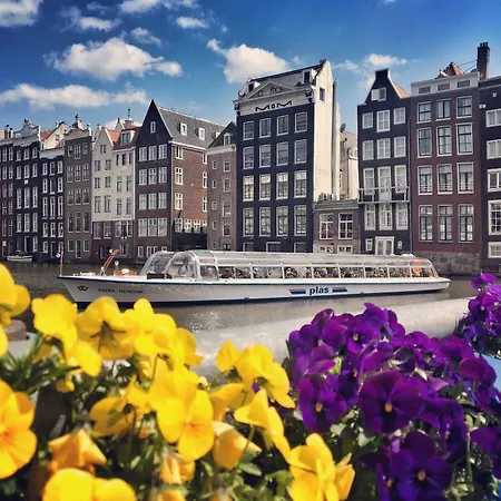 オールド クオーター ホテル 2*