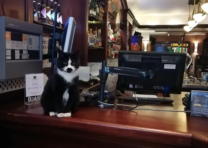 Old Quarter Hotel Amsterdam